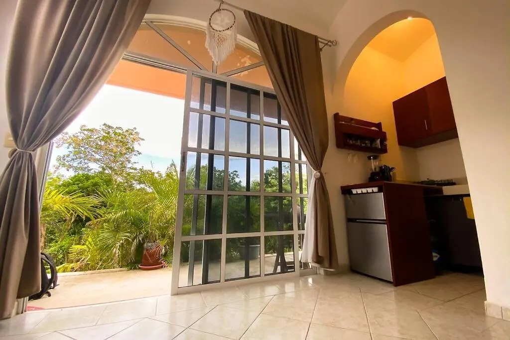 Lejlighed Little Caribbean Treetop Loft Puerto Aventuras