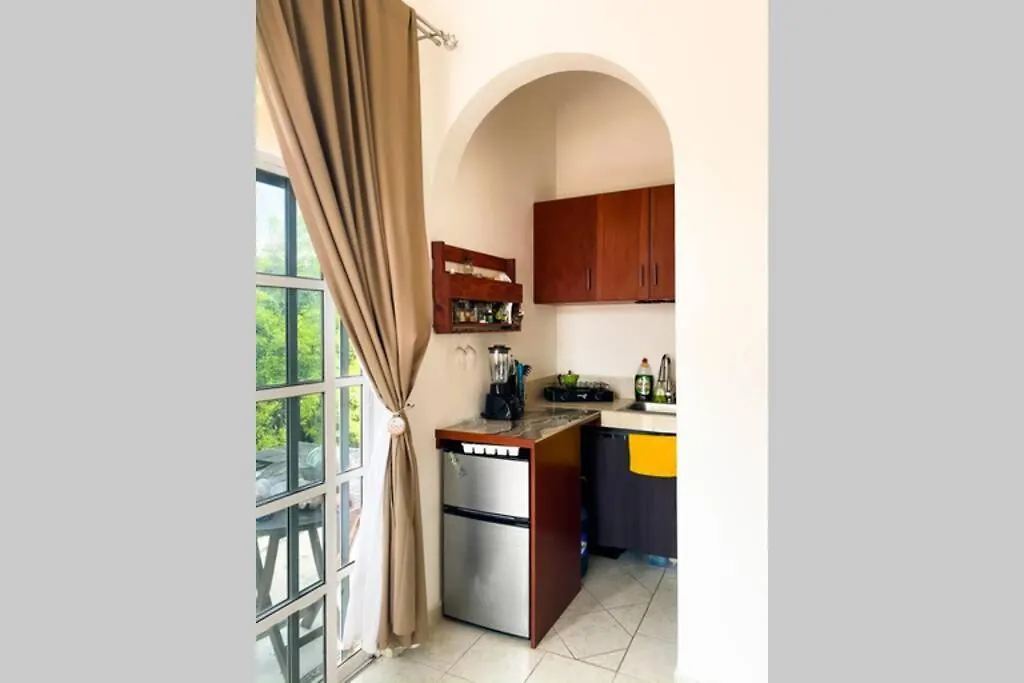Little Caribbean Treetop Loft Puerto Aventuras Lejlighed